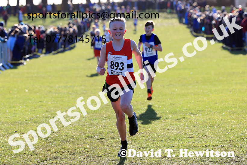 Boys under-13s 2025 Northern Cross Country Champs, Tatton Park, Knutsford, Cheshire. Photo: David T. Hewitson/Sports for All Pics